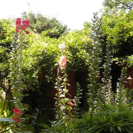 Gasthof La Meissonniere *